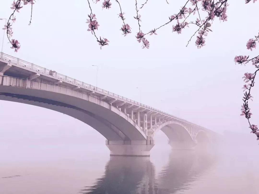 微信图片_20180329140358.jpg