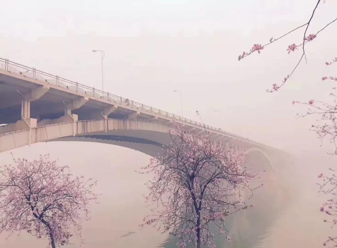 微信图片_20180329140401.jpg