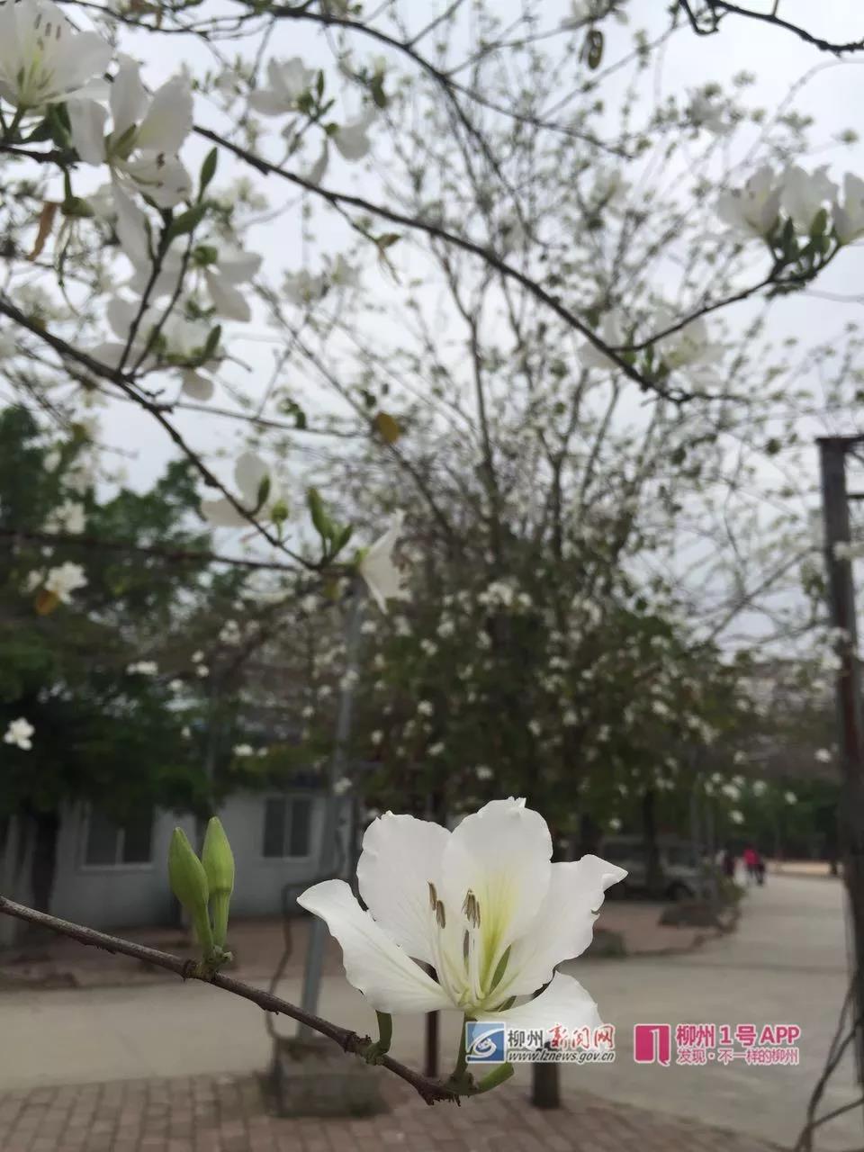 微信图片_20180329141010.jpg 微信图片_20180329141010.jpg