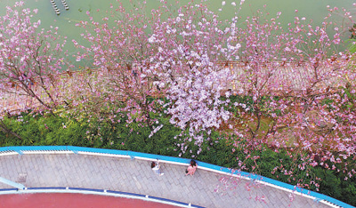 1522349107201_1.jpg