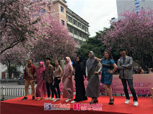超美！一群留学生来到三中路，展示紫荆树下最炫“柳州风”