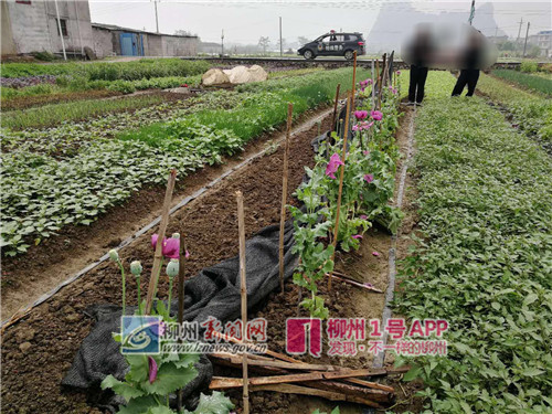 微信图片_201803301818511.jpg 微信图片_201803301818511.jpg