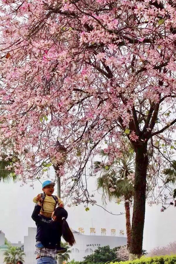 微信图片_20180330183946.jpg