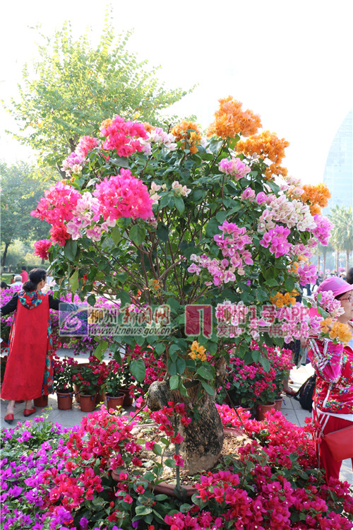 微信图片_20180331211035.jpg 微信图片_20180331211035.jpg