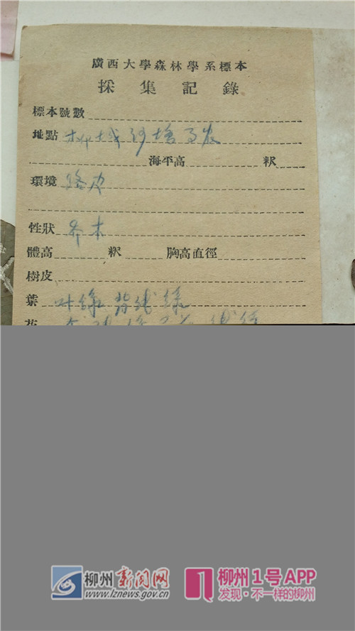 陈立卿.jpg