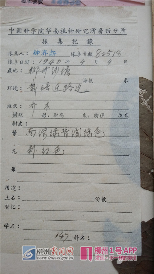 钟济新.jpg