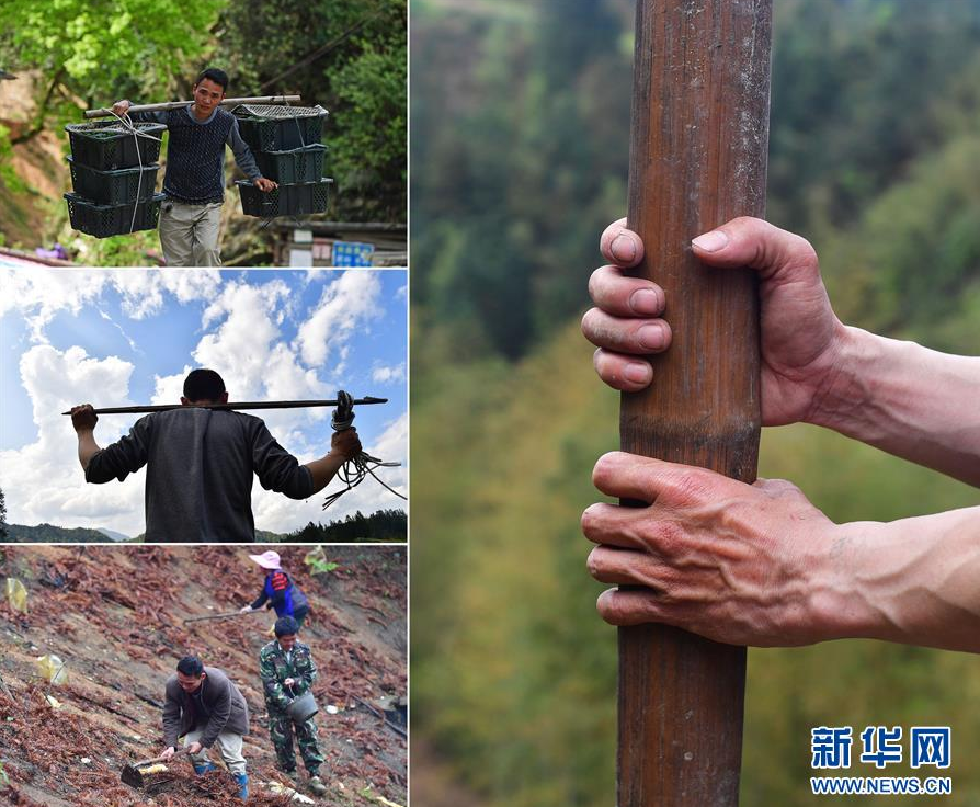 微信截图_20180403130930.png 微信截图_20180403130930.png