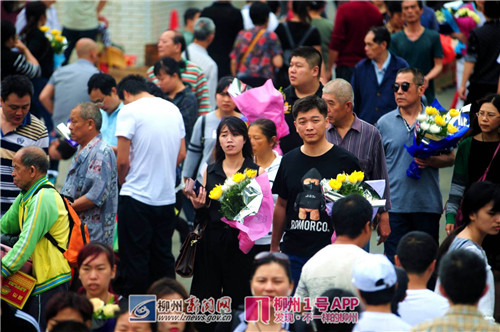 清明祭祀，柳州8个墓园祭扫人数超20万，市民用“绿色”寄哀思