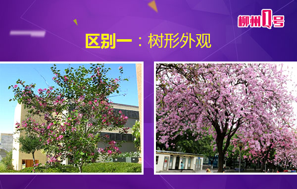 微信图片_20180408112509.jpg 微信图片_20180408112509.jpg