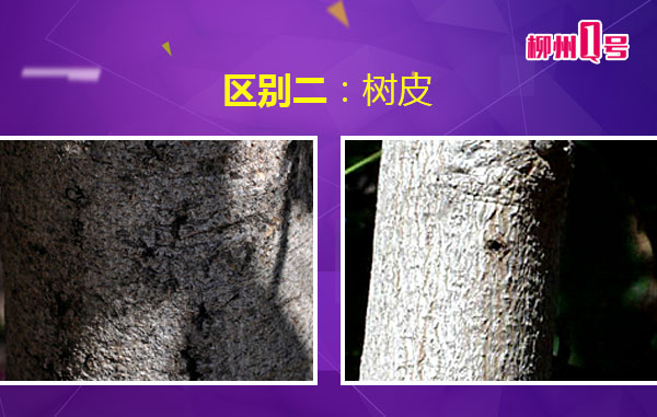 微信图片_20180408112459.jpg 微信图片_20180408112459.jpg
