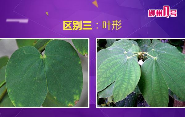 微信图片_20180408112454.jpg 微信图片_20180408112454.jpg
