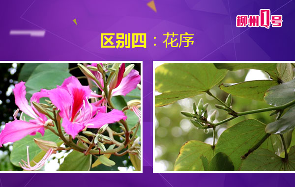 微信图片_20180408112430.jpg 微信图片_20180408112430.jpg