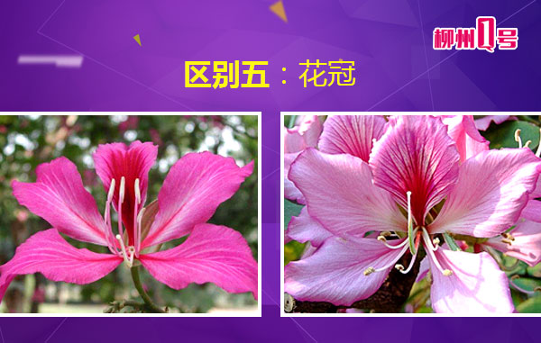 微信图片_20180408112436.jpg 微信图片_20180408112436.jpg