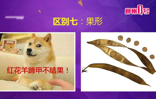 微信图片_20180408112446.jpg 微信图片_20180408112446.jpg