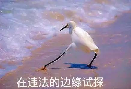 微信图片_20180409144424.jpg 微信图片_20180409144424.jpg
