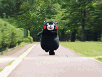 微信图片_20180409150032.gif