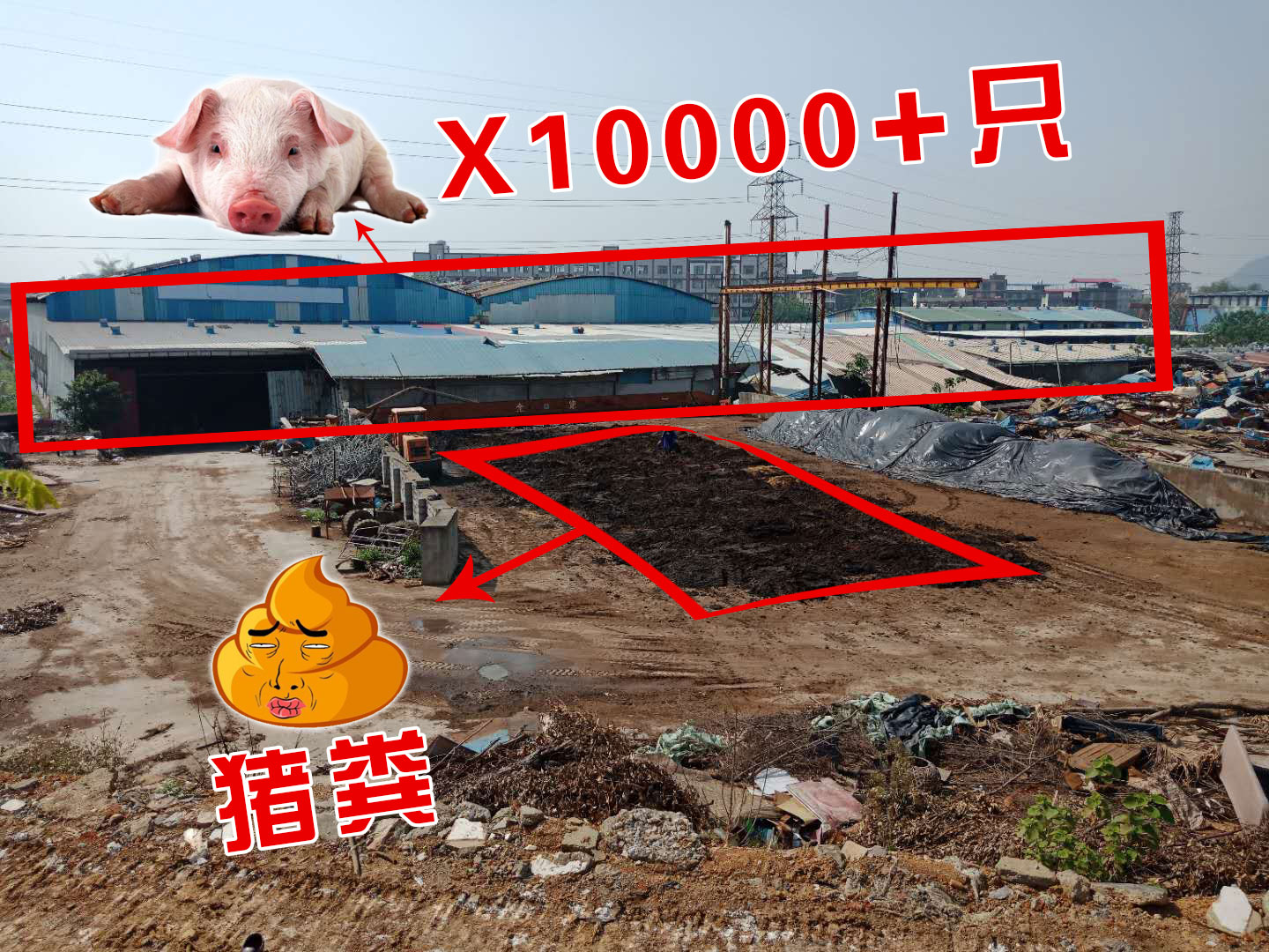 微信图片_20180409154302.jpg 微信图片_20180409154302.jpg