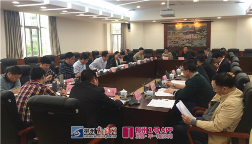 人大代表建议为新能源汽车推广应用立法，设立专项新能源财政补贴