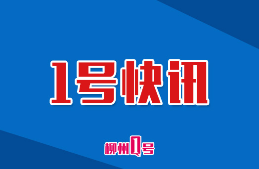 1号快讯|来了来了！柳州即将启动市花改选，紫荆花会当选吗？