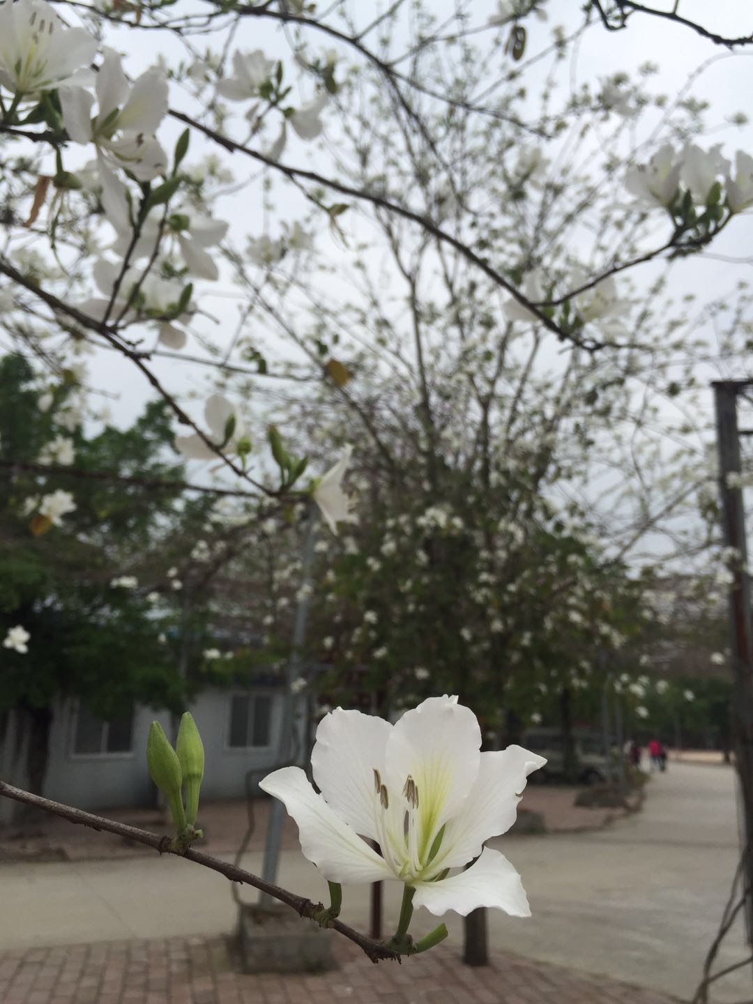 微信图片_20180410104148.jpg 微信图片_20180410104148.jpg