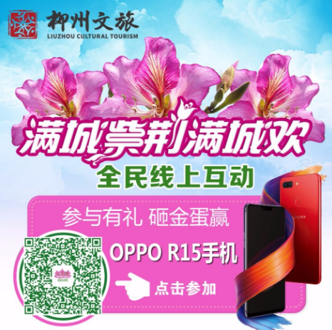 满城紫荆满城欢，手机拍紫荆，后来居上赢大礼！
