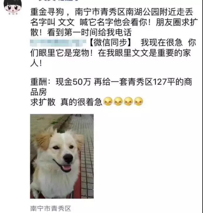 有人重金寻狗“50万酬金+南宁青秀区一套房”？！