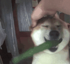 微信图片_20180414222724.gif