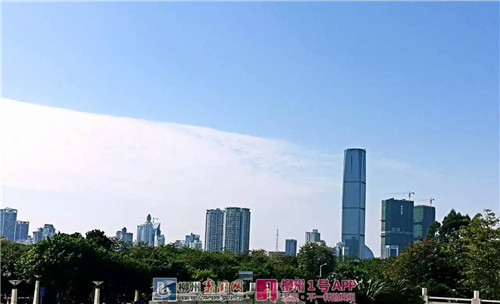 45039_607307_301312.jpg