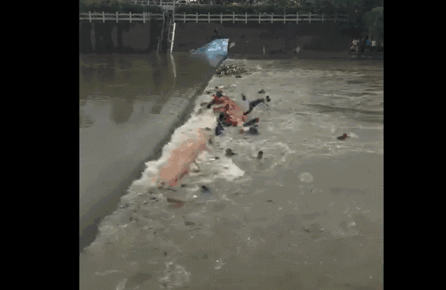 微信图片_20180421173516.gif
