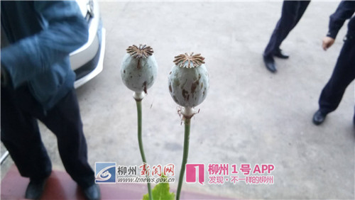 微信图片_20180423180810.jpg