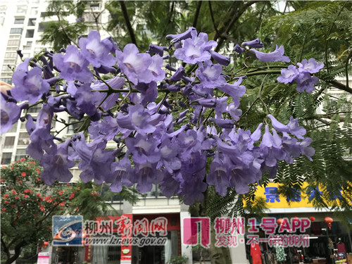 微信图片_20180423185802.jpg