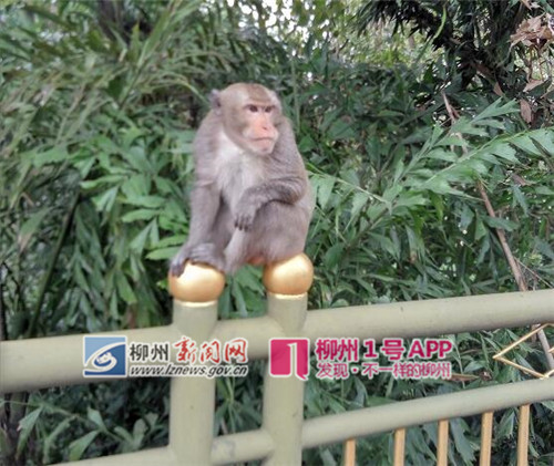 QQ截图20180424160412.jpg QQ截图20180424160412.jpg