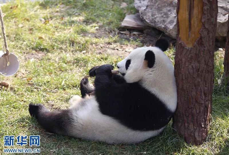 微信图片_20180501083303.jpg