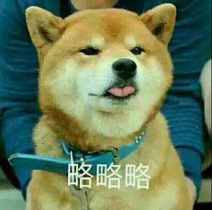 微信图片_20180501083317.jpg