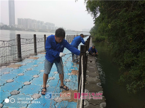 微信图片_201805041333101_副本.jpg