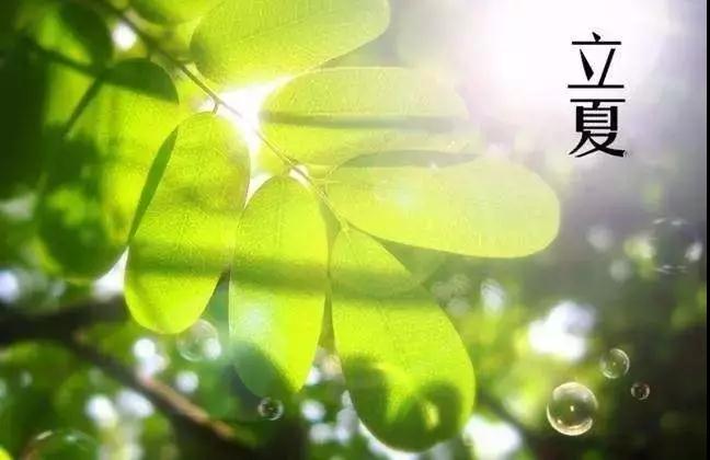 微信图片_20180505092542.jpg