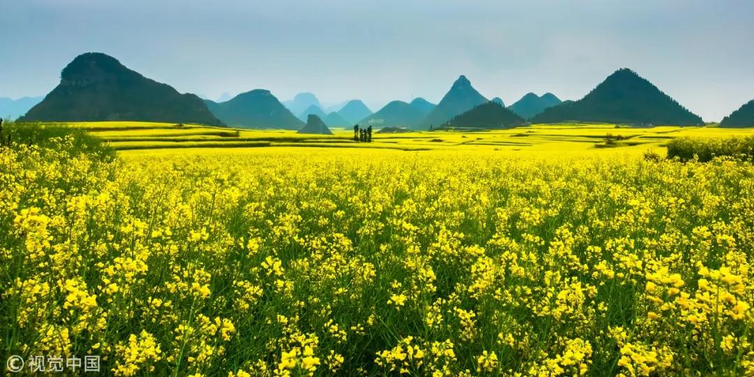微信图片_20180505092552.jpg