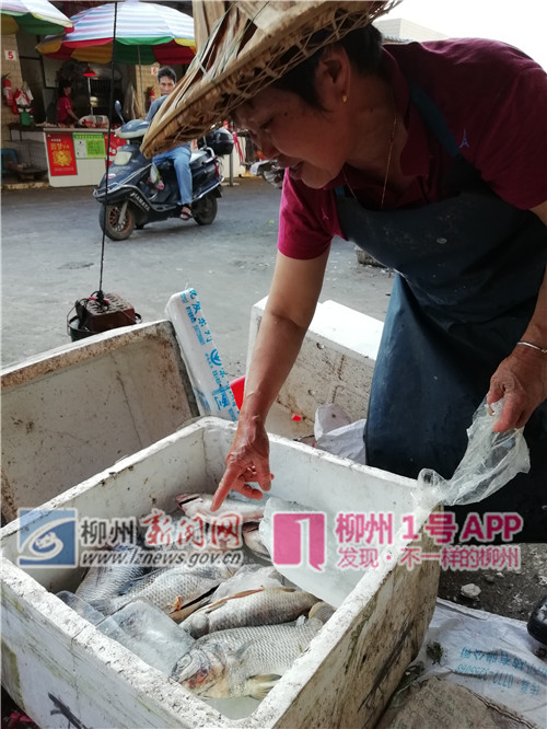 微信图片_201805062056131_副本.jpg 微信图片_201805062056131_副本.jpg