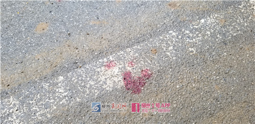 微信图片_201805091054351_副本.jpg 微信图片_201805091054351_副本.jpg