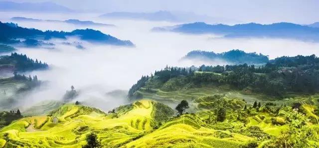 柳州直达元宝山只要1.5小时，杜鹃花海和梯田更近了！