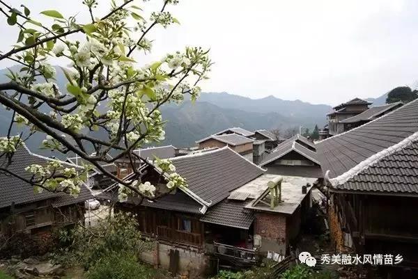 微信图片_20180509142434.jpg 微信图片_20180509142434.jpg