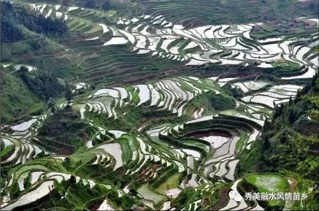 微信图片_20180509142440.jpg 微信图片_20180509142440.jpg