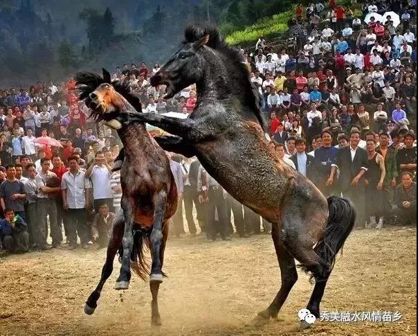 微信图片_20180509142504.jpg 微信图片_20180509142504.jpg