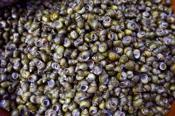 t0181f921cabe505976.jpg t0181f921cabe505976.jpg