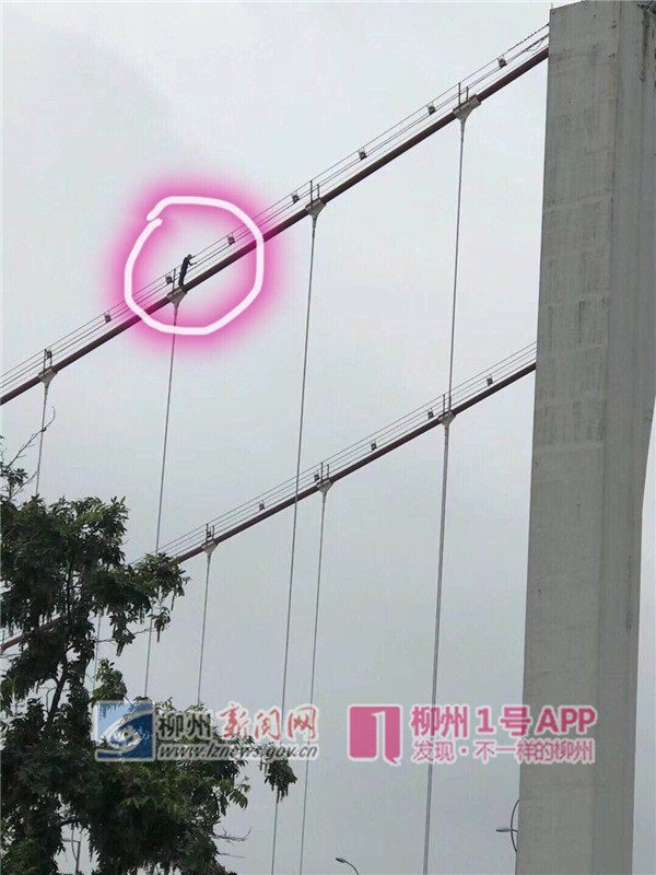 微信图片_20180511111447.jpg