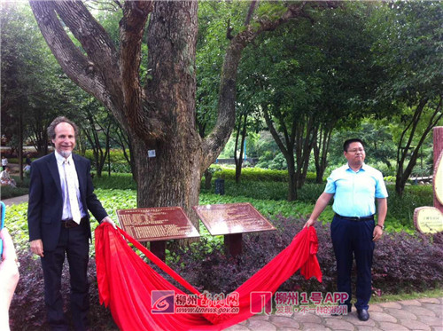 为香樟树下的大事记揭牌.jpg