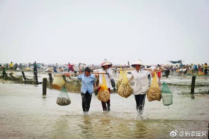 微信图片_20180516201821.jpg 微信图片_20180516201821.jpg