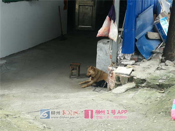 微信图片_20180517081251.jpg 微信图片_20180517081251.jpg