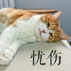 t01a9026b59b3fb1b2f.jpg