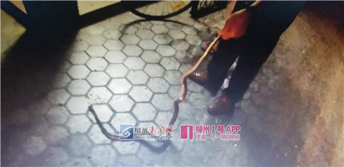 微信图片_20180517212529.jpg 微信图片_20180517212529.jpg